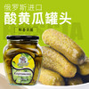 【中欧班列精选】WWJ俄罗斯风味 河马牌酸黄瓜500g/瓶 商品缩略图0