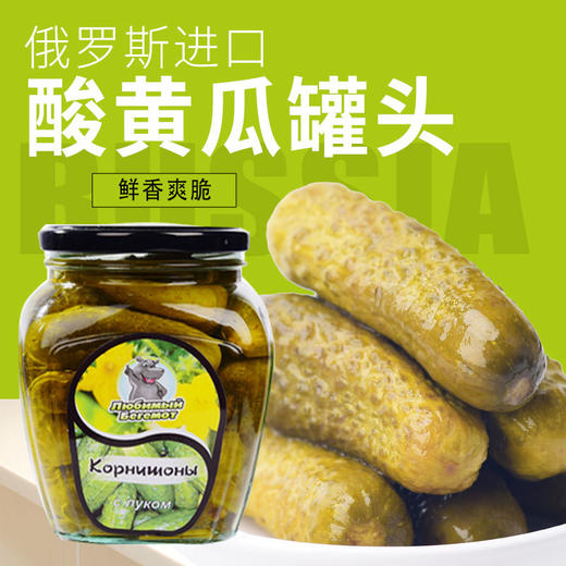 【中欧班列精选】WWJ俄罗斯风味 河马牌酸黄瓜500g/瓶 商品图0