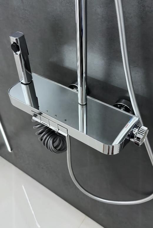 6047凯恩花洒-电镀 商品图2