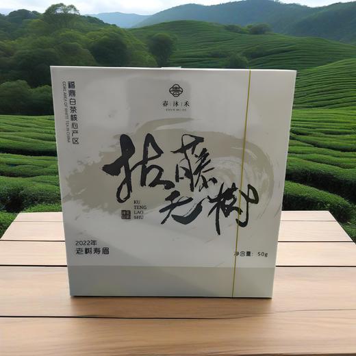 福鼎白茶老树寿眉2022年原料 商品图2