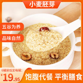 田陌上-李时珍富硒黄金小麦胚芽 植物燕窝 高纤高蛋白 冲泡即食