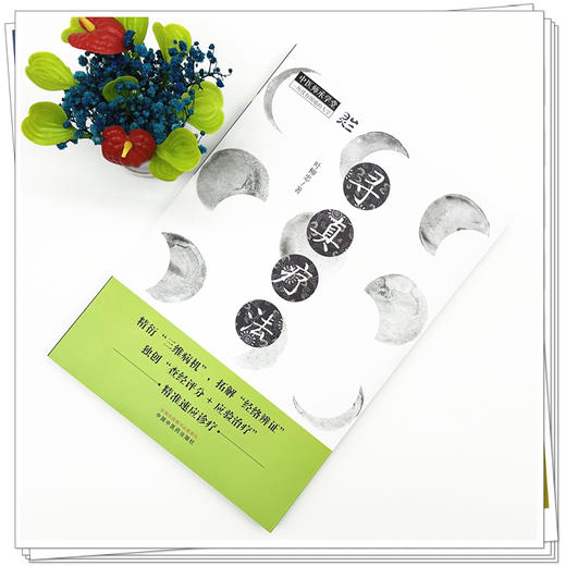 寻真疗法 叶柳忠 著 中国中医药出版社 中医师承学堂 黄帝内经 伤寒论 金匮要略 临床 书籍 商品图1