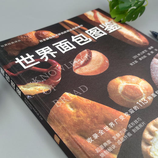 世界面包图鉴（世界经典译丛） 商品图1