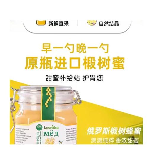 【中欧班列精选2斤装】俄罗斯蜂蜜原装进口雅克夫牌椴树蜂蜜卡扣瓶装 1KG/瓶 YPD 商品图2