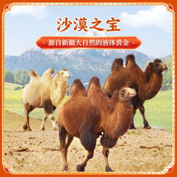 京觅京东自有品牌·有机纯骆驼乳粉300g中老年高钙新疆骆驼奶成人奶粉 /水饮冲调 /成人奶粉 /驼奶粉 商品图3