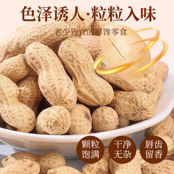 俏己食蒜香龙岩水煮花生坚果炒货白晒干咸干湿烤花生零食下酒菜解馋1斤 /休闲食品 /坚果炒货 /花生 商品图2