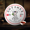 尚礼村2020年老班章经典普洱熟茶357g 商品缩略图3