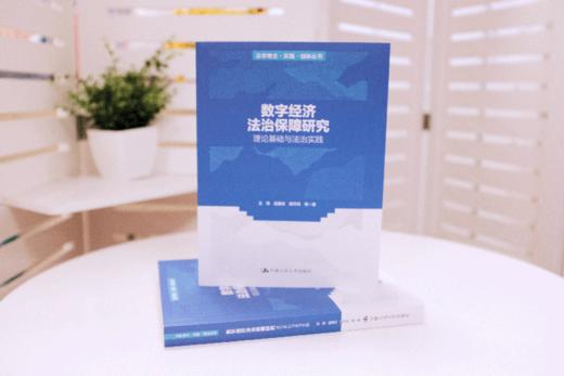 数字经济法治保障研究——理论基础与法治实践（法学理念·实践·创新丛书） 商品图1