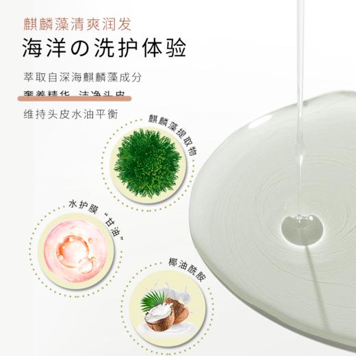 【中欧班列】日本蜜梨品牌洗发水 海洋干性油性中性洗发/胶原养护发膜 500ml/瓶 商品图3