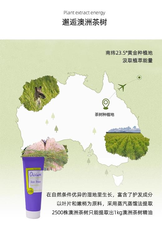 【中欧班列】澳洲进口OLIVIAM澳莉维亚茶树净透控油洗发水/菁萃沐浴乳/精华身体乳/200ml/瓶 商品图4