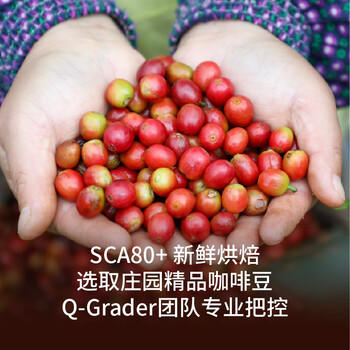 永璞挂耳咖啡速溶无糖浓缩焙炒咖啡豆云南威武包混合装10g*30包 /水饮冲调 /咖啡 /挂耳咖啡 商品图6