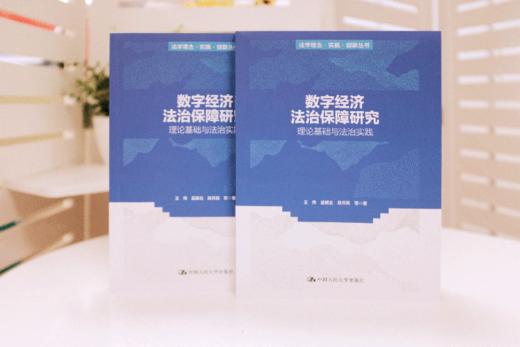 数字经济法治保障研究——理论基础与法治实践（法学理念·实践·创新丛书） 商品图2
