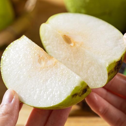 砀山青梨|自然熟不打药，酥脆清甜无渣，一口咬出冰糖水！ 商品图3