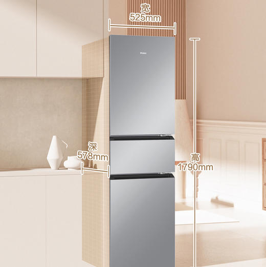 海尔（Haier）冰箱 BCD-218WGHC3R9S9 商品图3