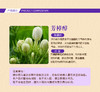 【中欧班列3瓶】意大利清洁剂 原装进口大公鸡管家多能去污清洁剂套装600ml/瓶OC 商品缩略图7
