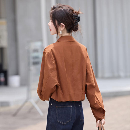 早秋衬衫女小个子短款上衣2025新款外搭洋气薄款翻领花边衬衣LYSX2581 商品图1