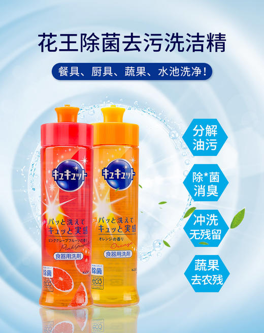 WHBX【中欧班列4瓶】日本花王洗洁精 原装进口果蔬餐具浓缩低泡洗洁精清洁剂去油污洗洁精 240ml/瓶 商品图2