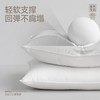 【白禾】【爆款上新】5A抗菌清逸云柔对装枕芯 商品缩略图4