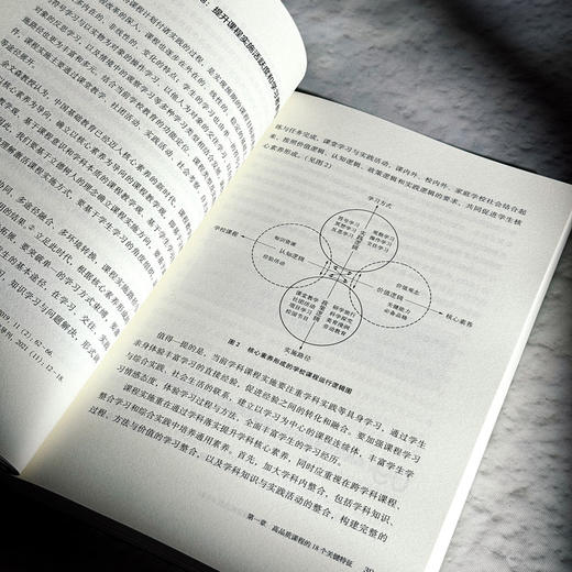 高品质课程的意蕴与方法 提升学校课程品质108条 杨四耕 商品图8