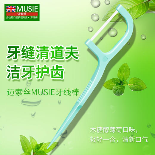 【中欧班列】台湾迈索斯牙线棒 细滑双线 木糖醇薄荷扁线 竹炭扁线 牙签刷 商品图5
