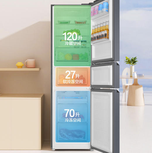 海尔（Haier）冰箱 BCD-217WGHC3E9S9 商品图4