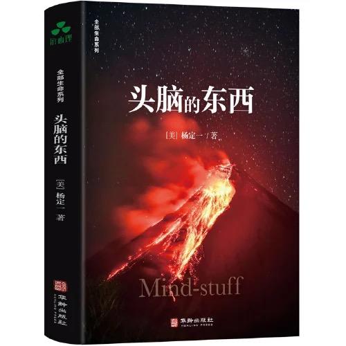 头脑的东西｜杨定一博士 【官方正版】 华龄出版社 商品图4
