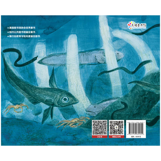 鲸落 | 一鲸落、万物生。简洁唯美的鲸落科普绘本，美国科学教育协会杰出科普图书 商品图0