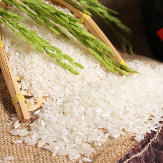 五常稻花香家庭装  5kg 商品图1