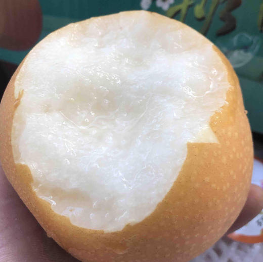 晚熟秋月，果肉细嫩，甘甜化渣，脆爽多汁，润肺清火化痰 商品图0