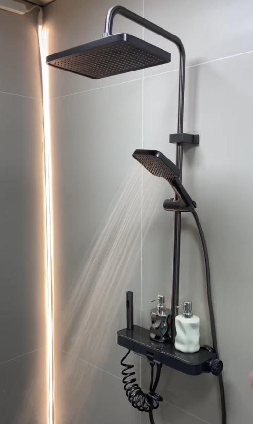 6048凯恩花洒-枪灰 商品图3