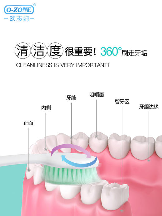 【中欧班列】韩国进口欧志姆备长炭金离子小头银添毛金添毛极细毛旅行套护龈健齿成人家用家庭装o-zone 商品图1