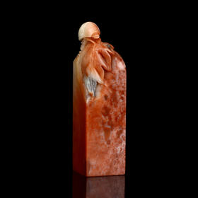 孤品017122-老挝石昆虫钮方章-2.5*2.5*9.3cm