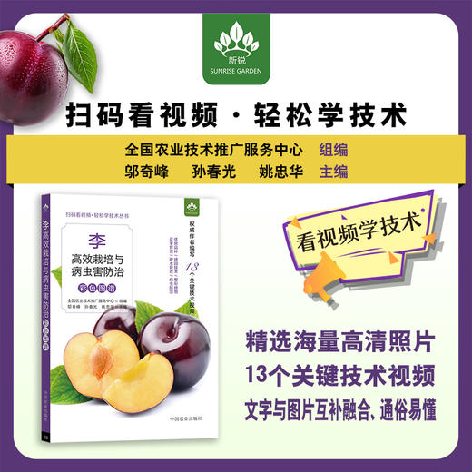 李高效栽培与病虫害防治彩色图谱 商品图0