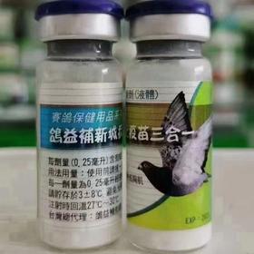 台湾鸽益补三合一苗