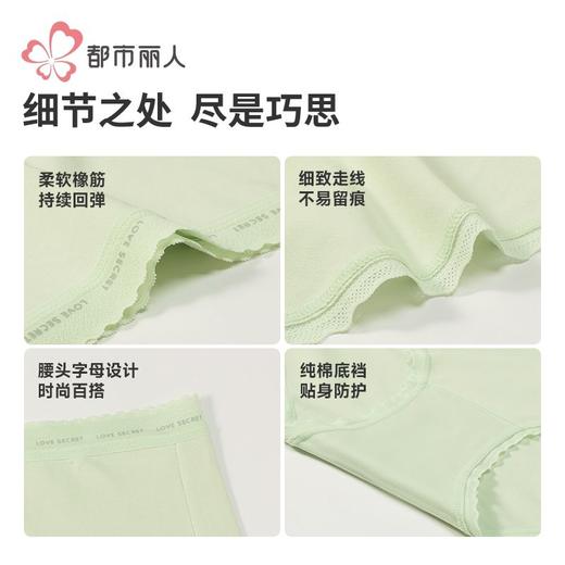 都市丽人女士内裤50支棉内裤女士平角内裤女内裤纯棉内裤LKH5V2 商品图7