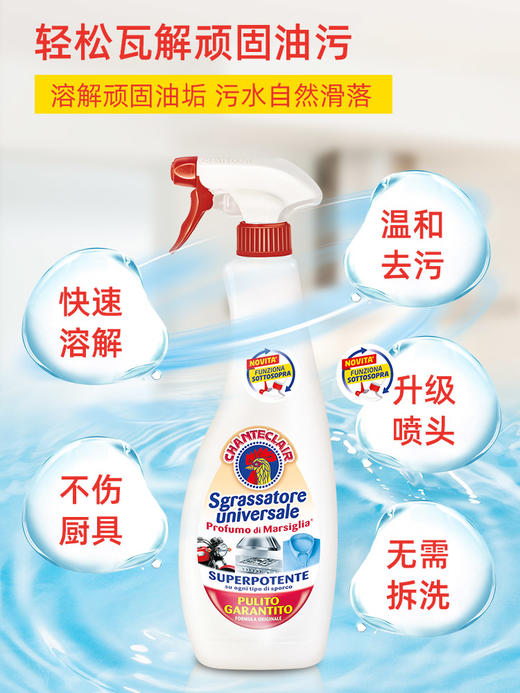 【中欧班列3瓶】意大利清洁剂 原装进口大公鸡管家多能去污清洁剂套装600ml/瓶OC 商品图9