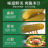 【中欧班列精选】WWJ俄罗斯风味 河马牌酸黄瓜500g/瓶 商品缩略图14