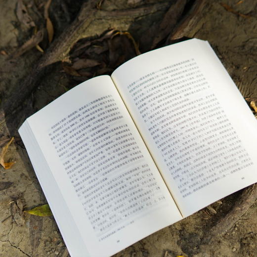 老年 [法]西蒙娜·德·波伏瓦 著 孟玉秋 译 作者重量级论著 社会观察 养老 老年性别维度 打破禁忌 未来生活 上海译文出版社 正版 商品图6