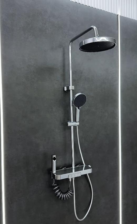 6047凯恩花洒-电镀 商品图4