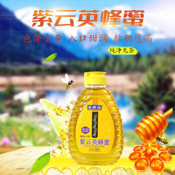 养蜂农养蜂农 紫云英蜂蜜 500g 纯正无添加牛奶早餐 烧烤伴侣便携挤压瓶 /水饮冲调 /冲饮谷物 /其他冲饮 商品图4