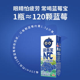 福兰农庄蓝莓宝蓝莓汁100%NFC蓝莓复合汁果汁250ml*10盒中秋礼盒送礼 /水饮冲调 /饮料 /果蔬汁/饮料