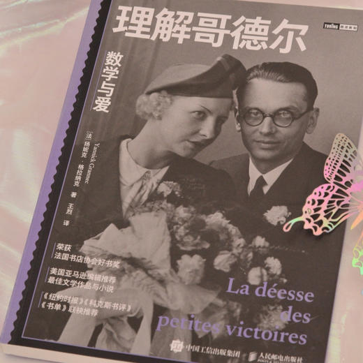 理解哥德尔：数学与爱 天才与疯癫爱情与坚守的震撼之作 献给所有在他人光芒下默默付出的人 商品图1