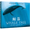 鲸落 | 一鲸落、万物生。简洁唯美的鲸落科普绘本，美国科学教育协会杰出科普图书 商品缩略图1