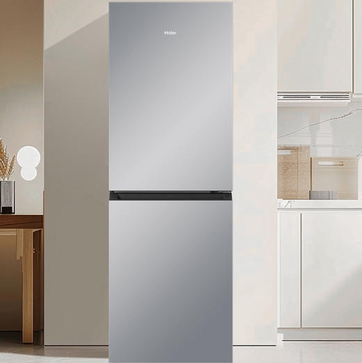 海尔（Haier）冰箱 BCD-202WGHC290S9 商品图2