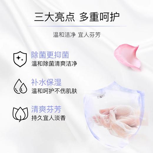 【中欧班列】【三块】德国进口DM芭乐雅Balea蜂蜜牛奶芦荟洗手沐浴香皂温和不紧绷150g/块 商品图2