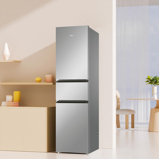 海尔（Haier）冰箱 BCD-218WGHC3R9S9 商品图10