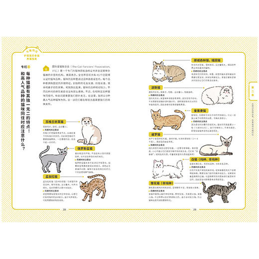 【SendPoints】【2本套装】【万物图解】与猫共处+与猫同住 善本中文简体艺术漫画 商品图4