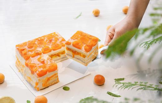 雨水清泉 商品图10