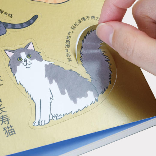 【SendPoints】【万物图解】与猫共处：猫咪毛色与性格的基因密码 善本中文简体艺术漫画 商品图2