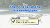 Lesson117：《The Ant and the Grasshopper》 商品缩略图0